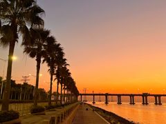 -宝安西湾红树林湿地公园