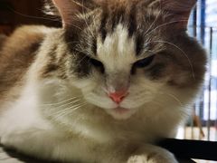 -听TA说宠咖·宠物生活馆(天韵水岸店)