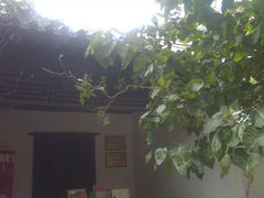 android_upload_pic-解放公园