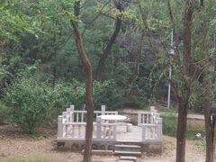 -云岗森林公园