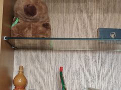 -顺则昌推按正骨理疗