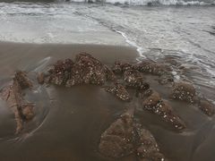 -南长涂沙滩
