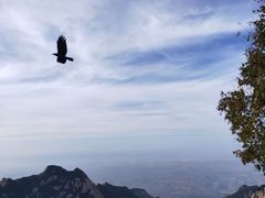 -华山风景名胜区