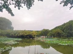 -河南省黄河迎宾馆