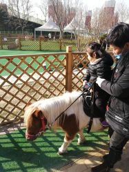 -萌宠亲子动物乐园(槐房万达店)