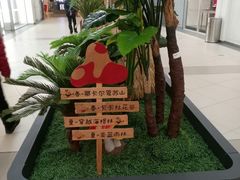 -杉杉奥特莱斯广场(哈尔滨店)