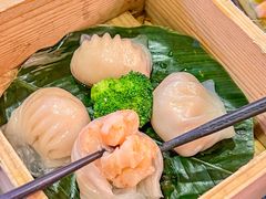 避风塘虾饺-伯乐居茶艺馆(石岐大信店)