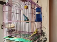 -博山菜·大厨烙馍村(金乔社区店)