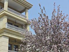 -天津五大道文化旅游区