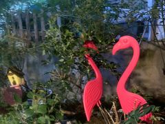 -鱼乐岛餐厅·户外花园主题餐厅