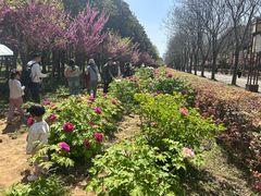 -洛阳市隋唐城遗址植物园