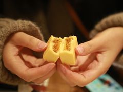 凤梨酥-猫里有甜