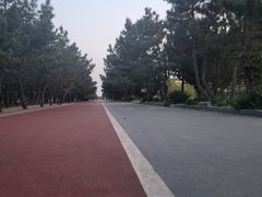 -日照海滨国家森林公园