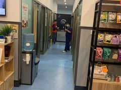 -伟伟宠物医院·瑞派猫友好医院·猫科(光谷店)