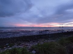 -宝安西湾红树林湿地公园