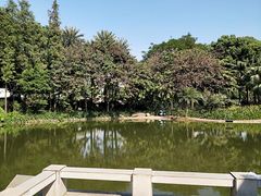 -黄埔荔枝公园