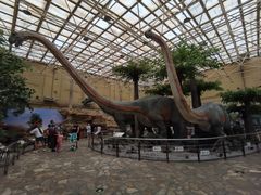 -国家自然博物馆