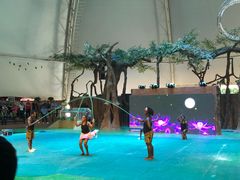 -白洋淀景区