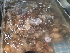 -争先鲜·蒸汽海鲜自助·鲜切牛肉