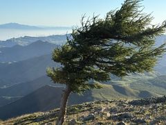 -灵山