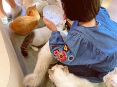 -瞄一喵猫咖(格力海岸店)