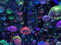 -梵高星空艺术馆(北京旗舰店)