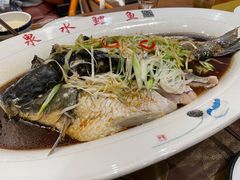 泉水鲤鱼-燕喜堂·中华老字号(大明湖店)