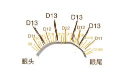 -杨丹国际美学肌研所