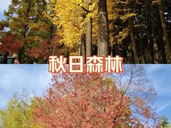 -洛阳市隋唐城遗址植物园