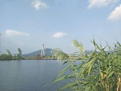 -芒洲湿地公园