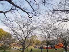-苏州上方山国家森林公园