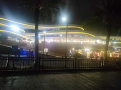 -野狸岛