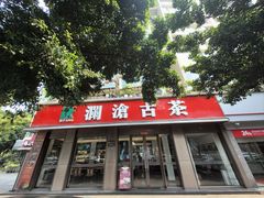 -神仙树公园