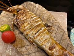 -松涛日本料理
