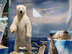 -国家自然博物馆