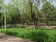 -绿堤公园