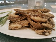 烤子魚-上海小南国(国会店)