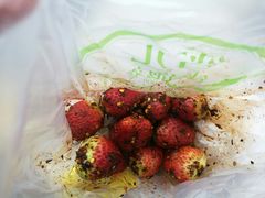 -雪儿钱局泡菜