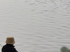 -重庆彩云湖湿地公园