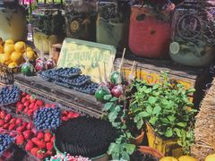 -The Grounds of Alexandria