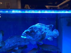 景观位-金悦轩海鲜酒家(银河店)