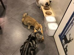 -咖法森林·咖啡  酒吧(天河店)