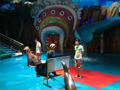 -烟台海昌鲸鲨海洋公园