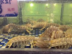 -顺德了能馆(虎门店)