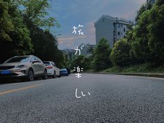 -铁山坪森林公园