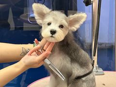 -FAELING PETS美天灵宠物(富力广场店)