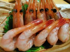 -鲤·鮨KOISUSHI