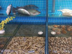 -王厚元饺子·辽菜·烤鸭(沈北店)
