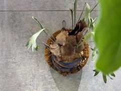 -山下C5cafe(惠通时代广场店)