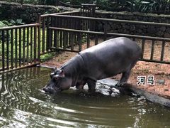 -海南热带野生动植物园
